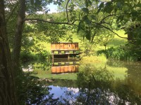 /album/fotogalerie/kaltenberg-bienenstand-im-juni-2019-jpg/